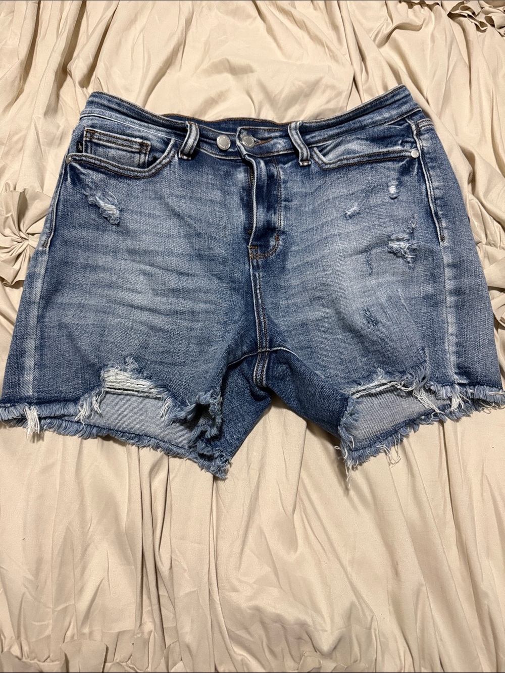 Judy Blue Denim Shorts - size Large